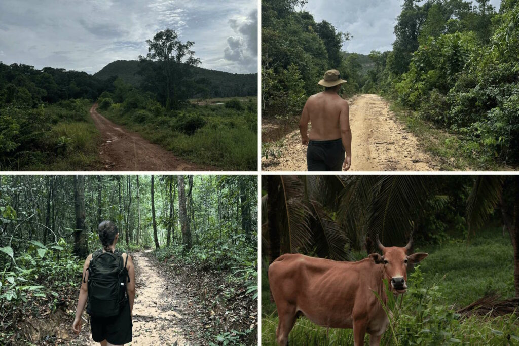 sentiers à travers l'île de Koh Rong Sanloem, entre la jungle et les plaines
