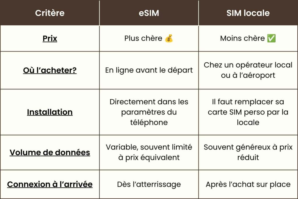 tableau comparatif des avantages et des inconvénients des esims et des sims locales en voyage